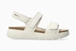 Mephisto Gill - Fog(Gill Fog)