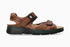 Mephisto Shark Fit - Chestnut(Shark Fit Chestnut)